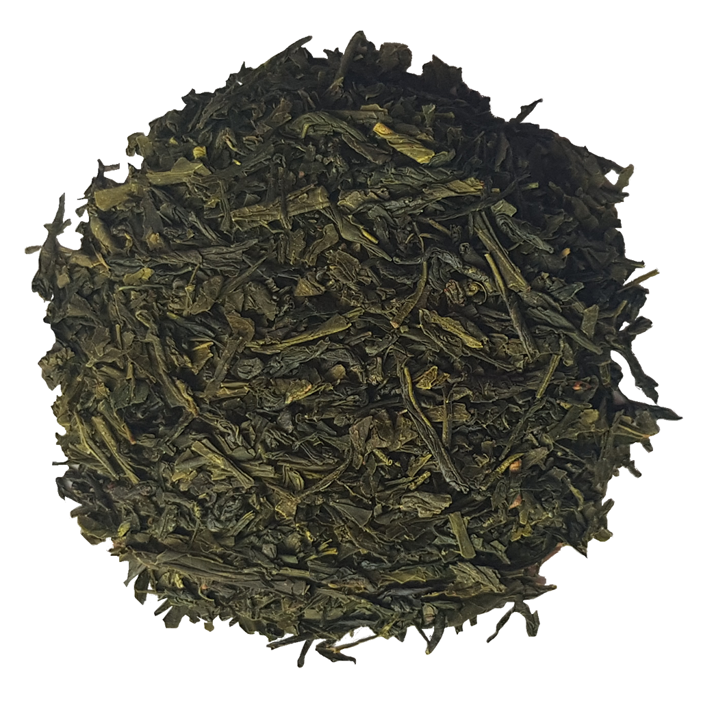 14159_SENCHA