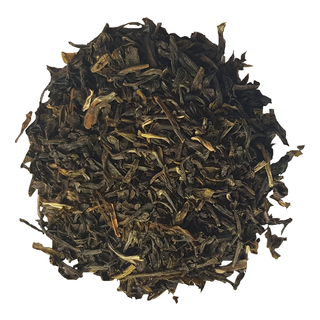 15501_JASMIN VERT CHUNG HAO